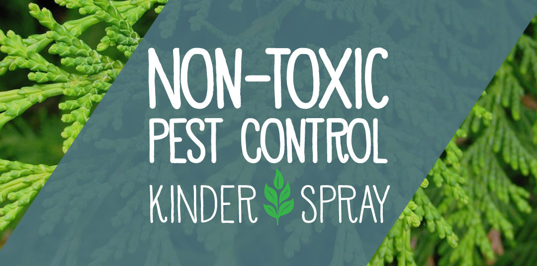 Non-Toxic Pest Control Services from Kinder Spray