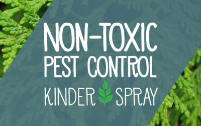 Non-Toxic Pest Control Services from Kinder Spray