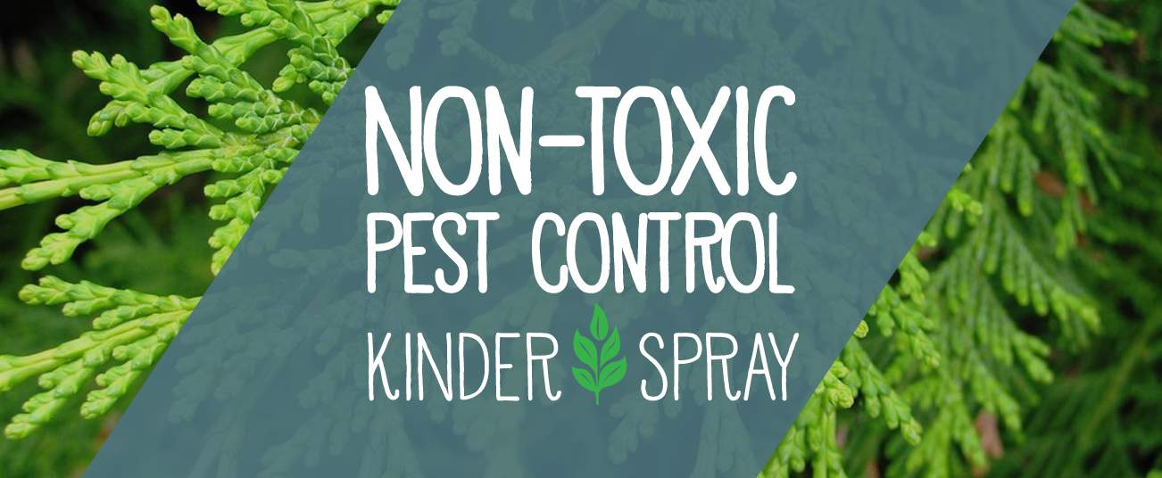 Non-Toxic Pest Control Services From Kinder Spray - Kinder Spray