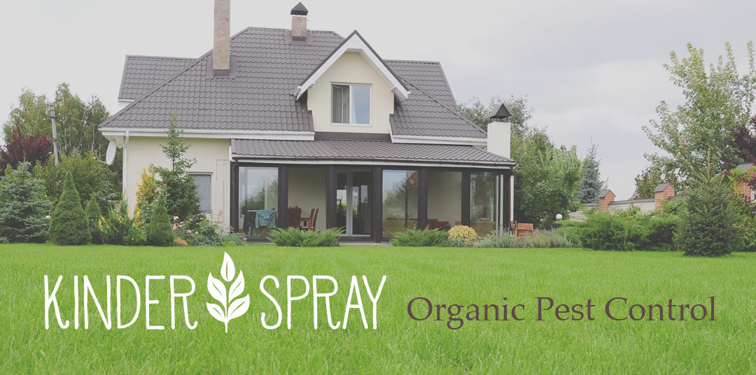 Organic Pest Control Companies like Kinder Spray Provide Safe Protection Against Insects