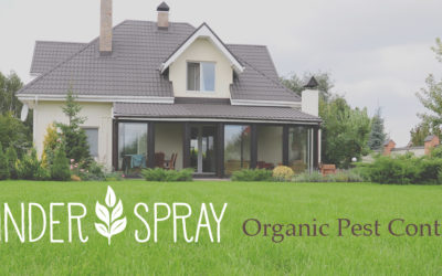 Organic Pest Control Companies like Kinder Spray Provide Safe Protection Against Insects