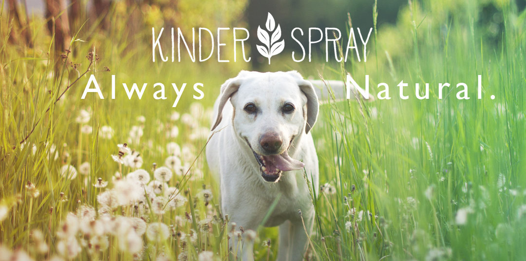 Kinder Spray – Your Natural Ally Among Top Rated Pest Control Companies