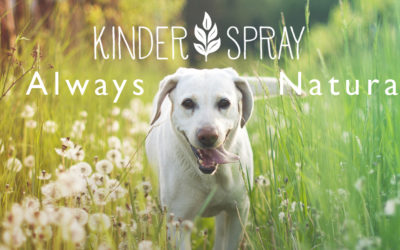 Kinder Spray – Your Natural Ally Among Top Rated Pest Control Companies