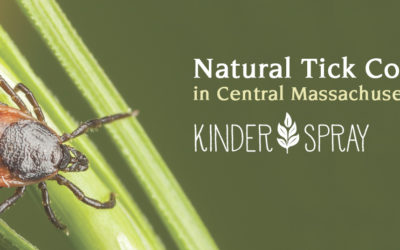 Natural Tick Control in Central Massachusetts