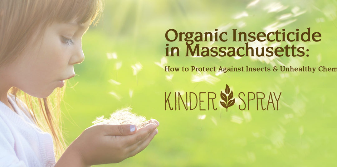 Organic Insecticide in Massachusetts: How to Protect Against Insects & Unhealthy Chemicals