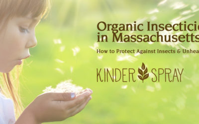 Organic Insecticide in Massachusetts: How to Protect Against Insects & Unhealthy Chemicals