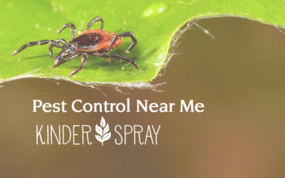 Pest Control Near Me: Kinder Spray Provides Superior, Organic Options