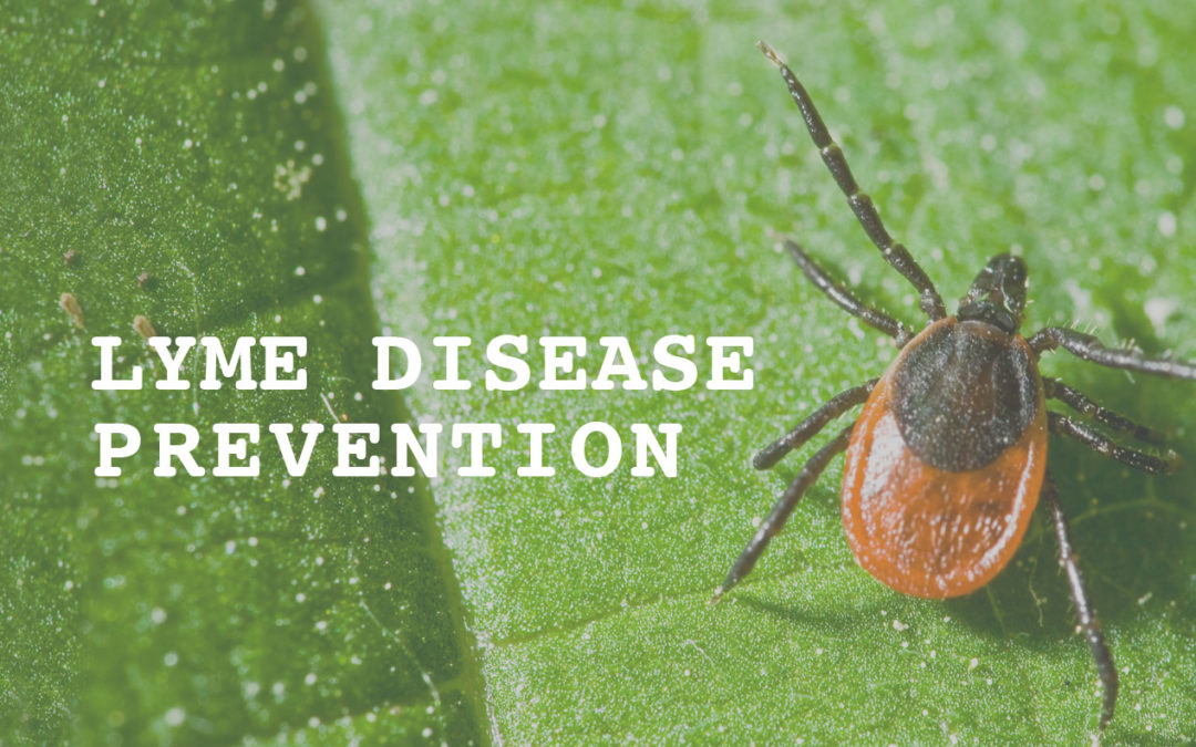 Lyme Disease Prevention This Season with Kinder Spray