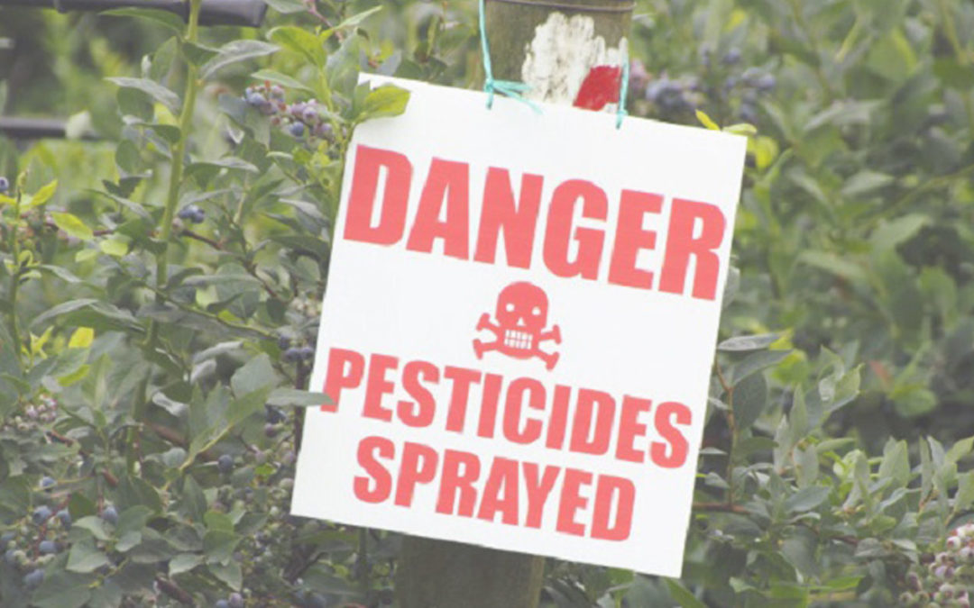 Pesticides and Health: What You Need to Know to Protect your Home and Family