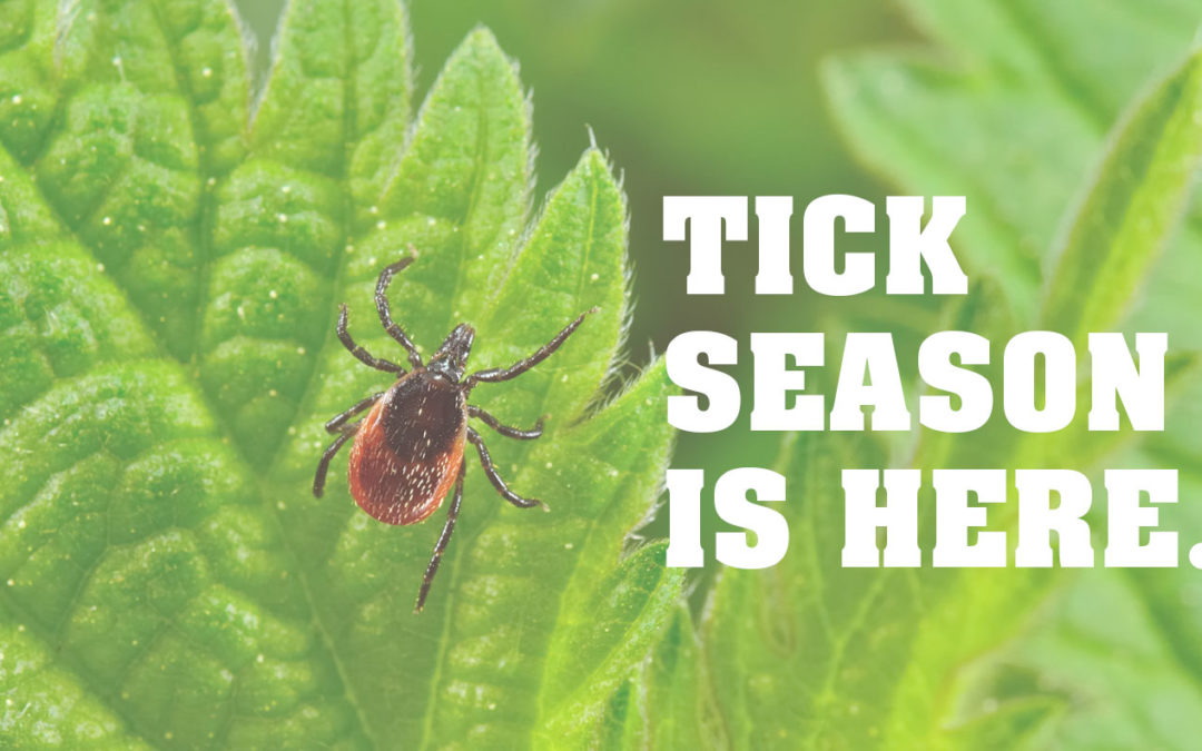Tick Season: How to Protect Yourself from Ticks This Spring and Summer