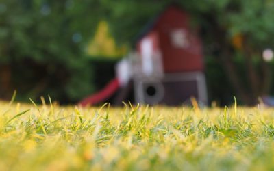 Natural Mosquito Yard Spray: Planet-Friendly Protection