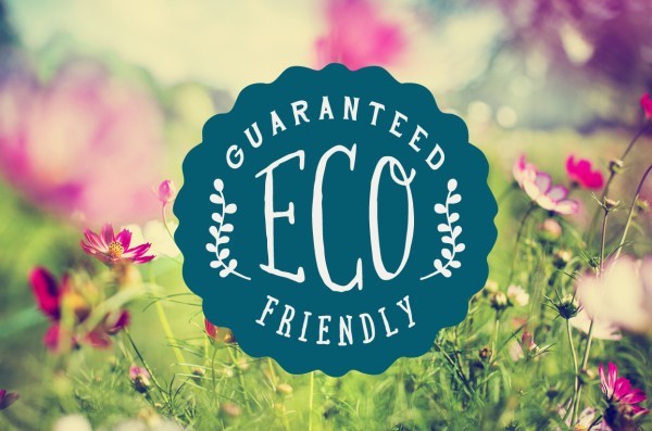The Eco-Conscious Practices of Commercial Pest Control Companies