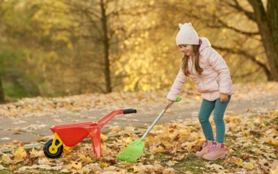 I Searched ‘Fall Yard Cleanup Service Near Me’ and Was Thrilled With What I Found