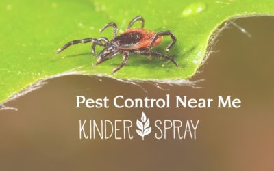 Narrow Your Search To ‘Natural Pest Control Company Near Me’