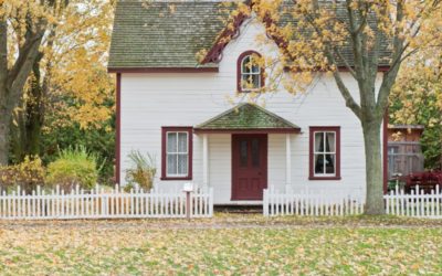 The Best Tick Repellent for Yard Maintenance Doesn’t Just Kill Ticks